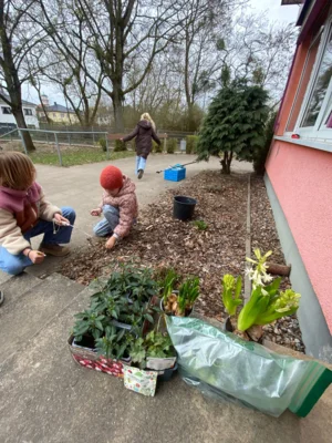 Foto des Albums: Frühjahrsputz 2026