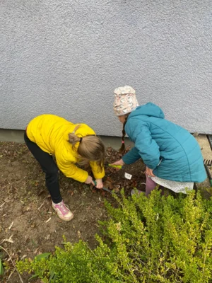 Foto des Albums: Frühjahrsputz 2026