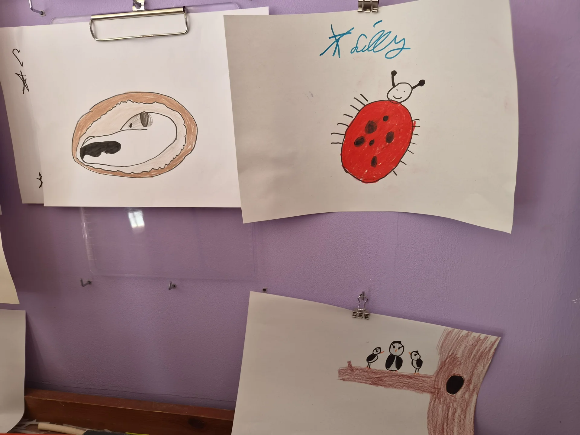 Bild der Galerie