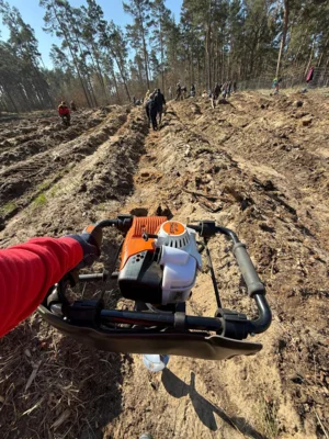 Loch an Loch - neue Heimat f&uuml;r mehr als 3000 Stecklinge  (Bild vergr&ouml;&szlig;ern)