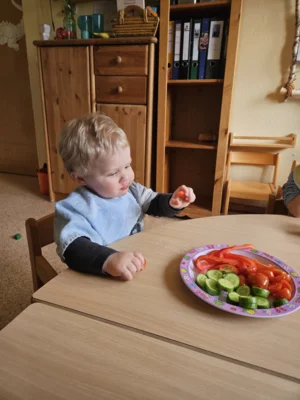 Foto des Albums: Rückblick Februar/März Mini-Füchse