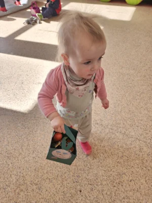 Foto des Albums: Rückblick Februar/März Mini-Füchse