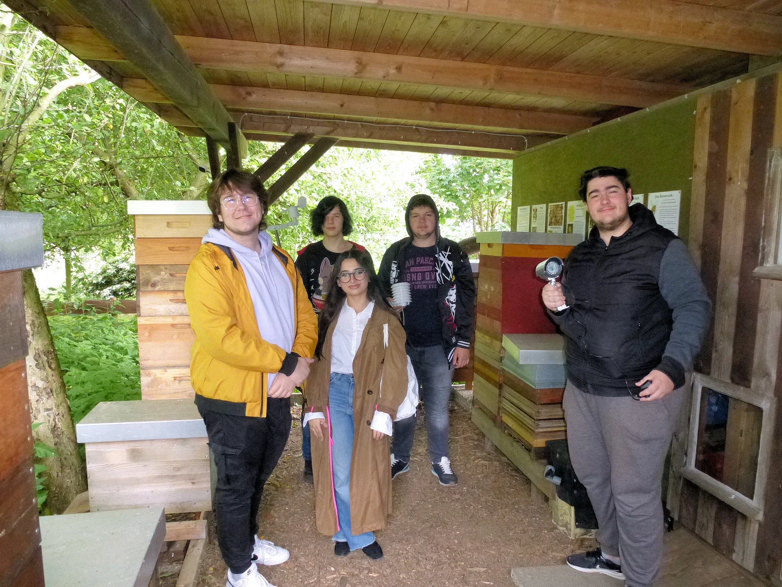 Bild der Galerie