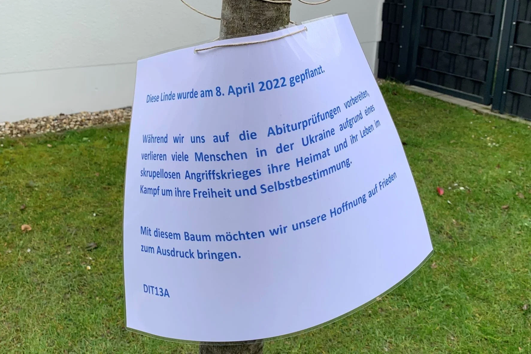 Bild der Galerie