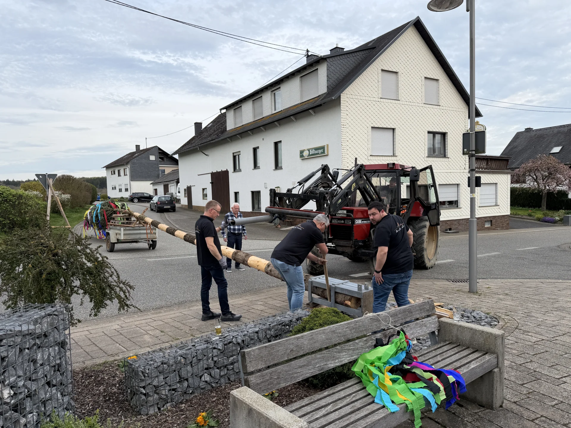 Bild der Galerie