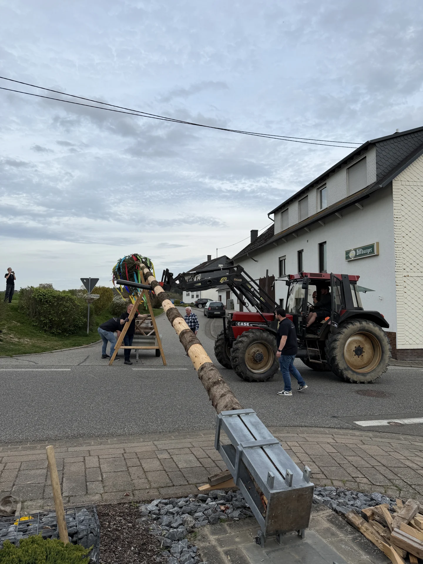 Bild der Galerie
