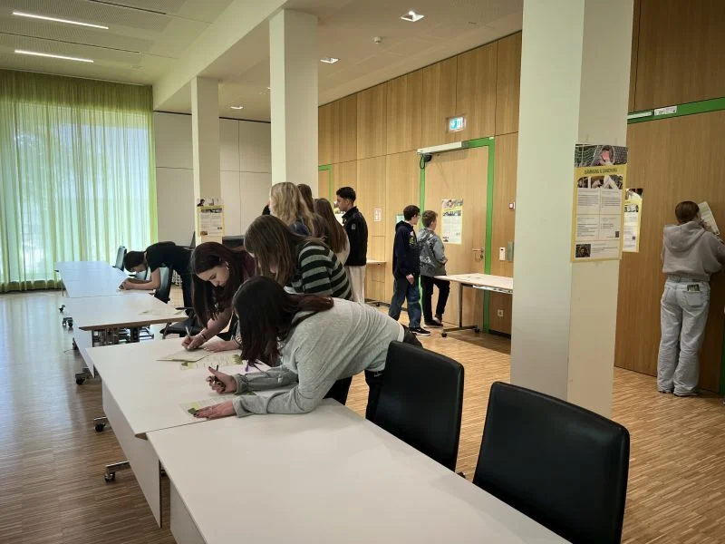 Bild der Galerie