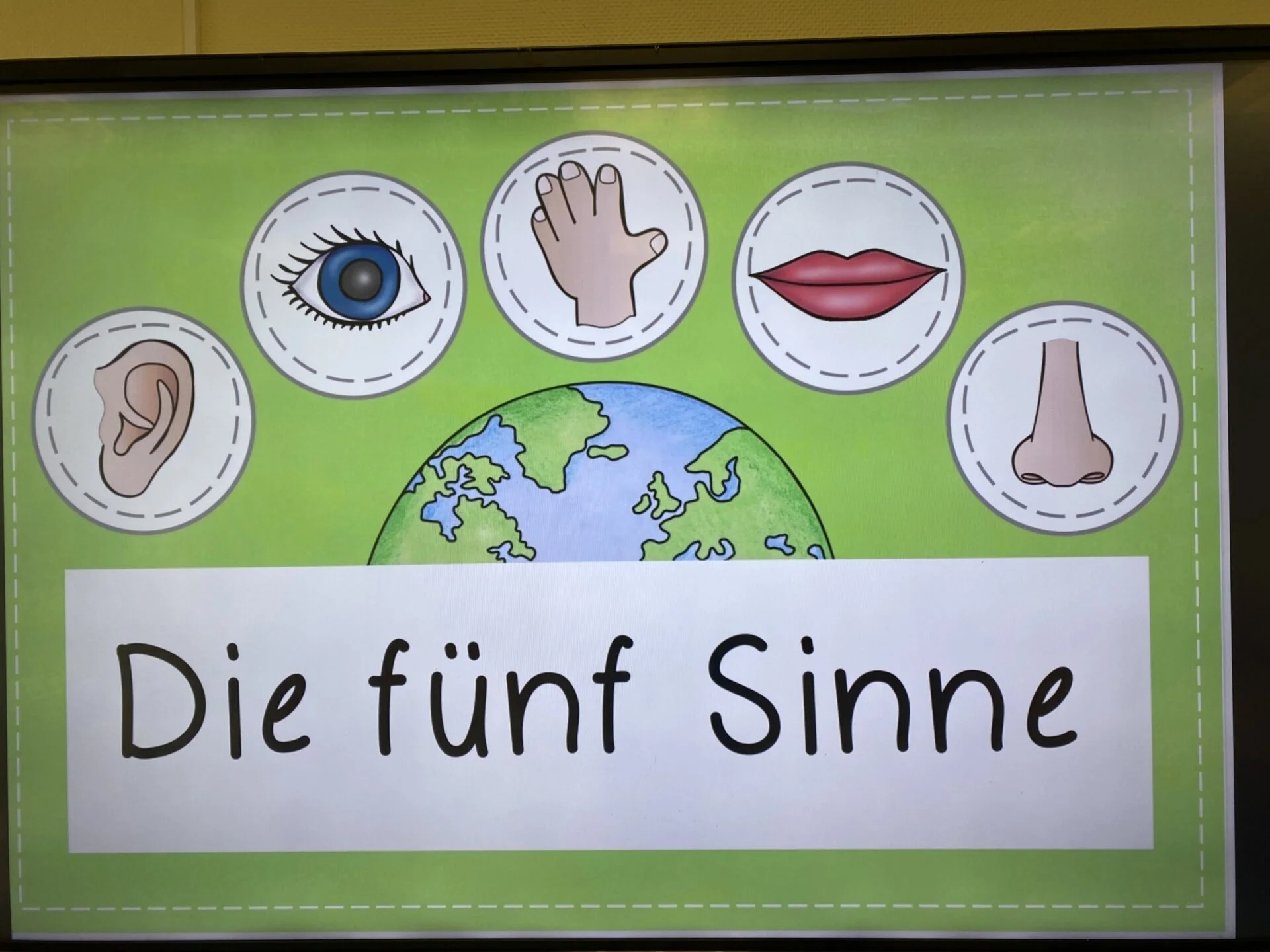 Bild der Galerie