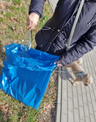 Beim Sammeln (Foto: Michaela Tech)  (Bild vergr&ouml;&szlig;ern)