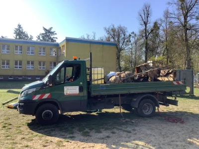 Foto des Albums: Rotbuchen für unseren Schulhof