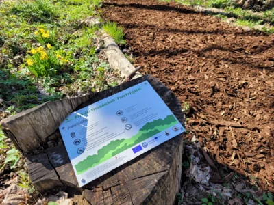 Foto des Albums: Frühjahrsputz Zinndorf 2026