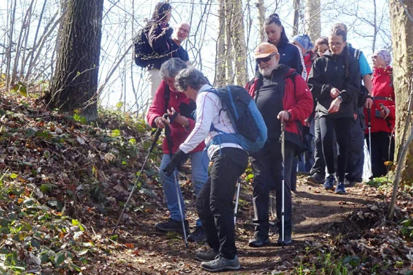 Bild: Steilabstieg am Viadukt Limmritz (Foto W Gelhaar) (1)