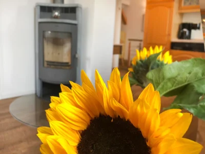 Wohnbereich mit Kamin 
