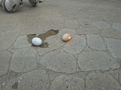Foto des Albums: Osterferien 26