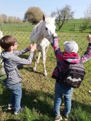 Foto des Albums: Osterferien 26