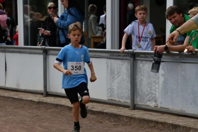 Foto des Albums: 10. Quakenbrücker Hase-Run 2026