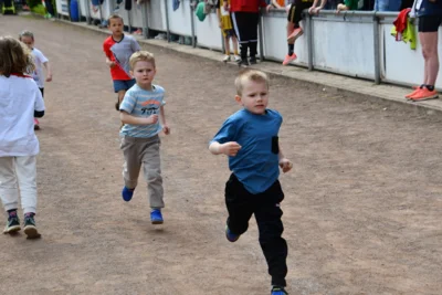 Foto des Albums: 10. Quakenbrücker Hase-Run 2026