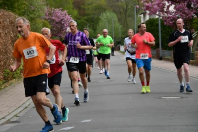 Foto des Albums: 10. Quakenbrücker Hase-Run 2026