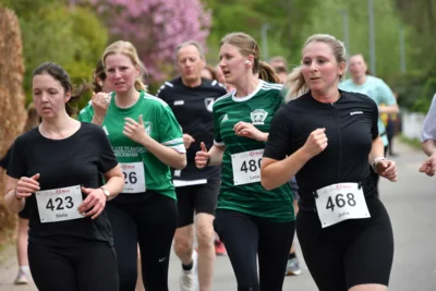 Foto des Albums: 10. Quakenbrücker Hase-Run 2026
