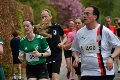 Foto des Albums: 10. Quakenbrücker Hase-Run 2026