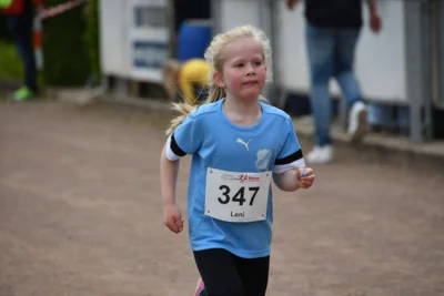 Foto des Albums: 10. Quakenbrücker Hase-Run 2026