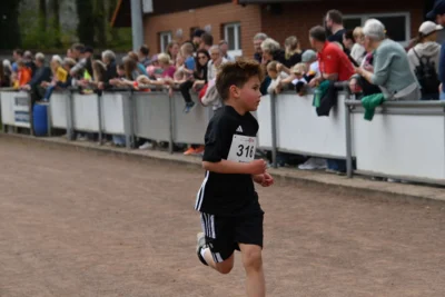 Foto des Albums: 10. Quakenbrücker Hase-Run 2026