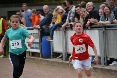 Foto des Albums: 10. Quakenbrücker Hase-Run 2026
