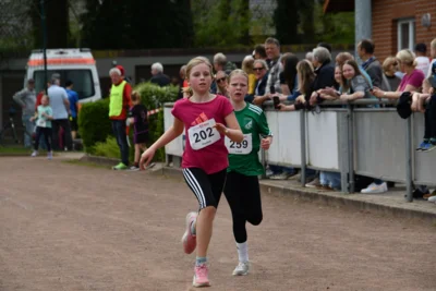 Foto des Albums: 10. Quakenbrücker Hase-Run 2026