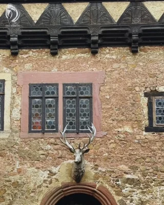 Tor mit Geweih &copy;Selketal  (Bild vergr&ouml;&szlig;ern)
