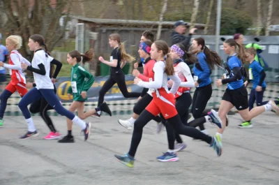 Foto des Albums: Frühjahrslauf Ostritz 2026