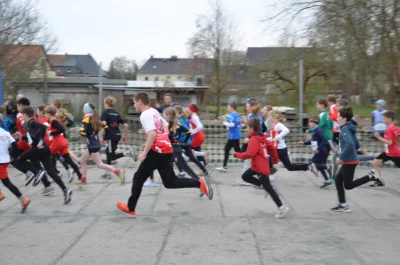 Foto des Albums: Frühjahrslauf Ostritz 2026