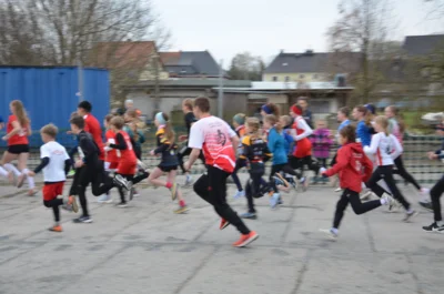 Foto des Albums: Frühjahrslauf Ostritz 2026