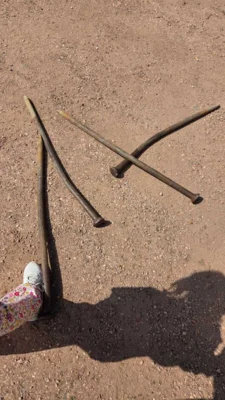 Foto des Albums: Aufbau Zirkuszelt