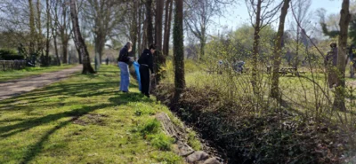 Foto des Albums: 1. Clean Spring Day in Neuzelle