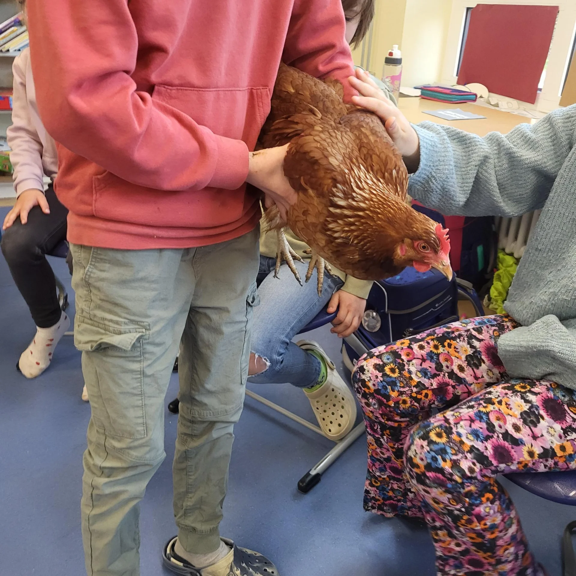 Bild: Das Huhn zeigt sich zutraulich!