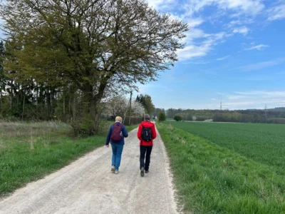 Foto des Albums: Hamelspringe hin und zurück