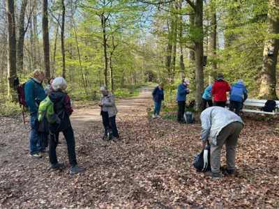 Foto des Albums: Hamelspringe hin und zurück