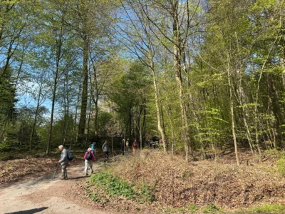 Foto des Albums: Hamelspringe hin und zurück