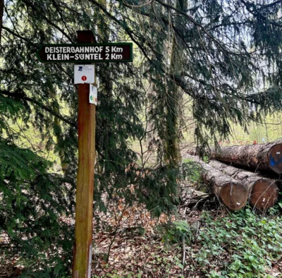 Foto des Albums: Hamelspringe hin und zurück