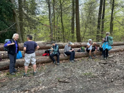 Foto des Albums: Hamelspringe hin und zurück