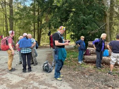 Foto des Albums: Hamelspringe hin und zurück