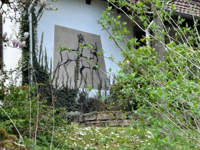 Foto des Albums: Hamelspringe hin und zurück