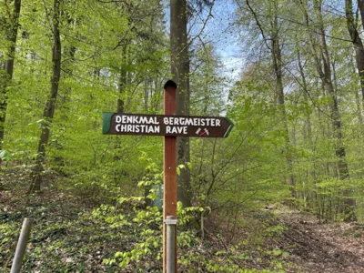 Foto des Albums: Hamelspringe hin und zurück