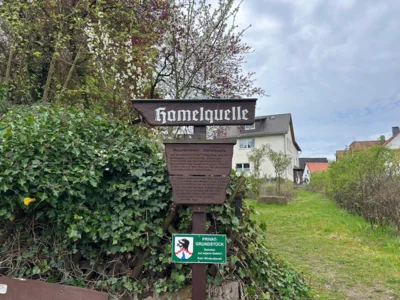 Foto des Albums: Hamelspringe hin und zurück