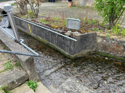 Foto des Albums: Hamelspringe hin und zurück