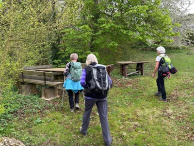 Foto des Albums: Hamelspringe hin und zurück