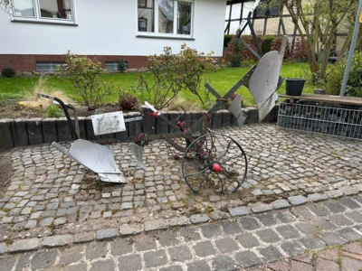 Foto des Albums: Hamelspringe hin und zurück