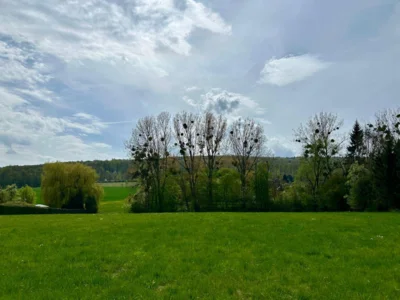 Foto des Albums: Hamelspringe hin und zurück