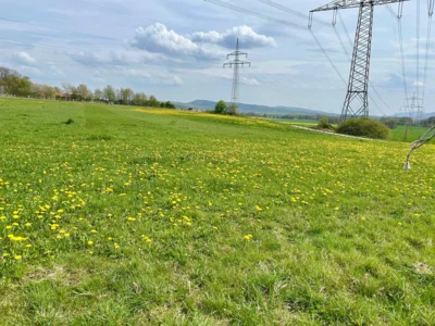 Foto des Albums: Hamelspringe hin und zurück