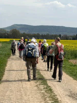 Foto des Albums: Hamelspringe hin und zurück